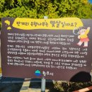 은행마을공원 화장실 | [공지] 원주 반계리 은행나무 단풍현황 방문후기