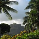 하와이야시장 이미지