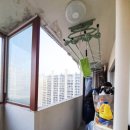 장기파랑새마을 이미지