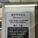 블링캣 이미지