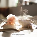 윈윈공인중개사사무소 이미지