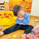 선단꿈나무어린이집 이미지