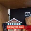 르솔티 이미지