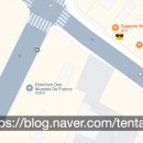 프리스실라플라워 이미지