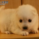 오케이샵