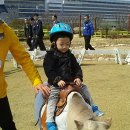 포니랜드 이미지