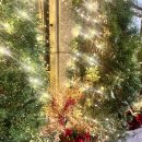 서초대로23길 74 | 겨울이 온다... 아무거나 소주방 과메기 후기