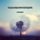 1056 | 사랑 명상 1056