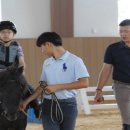 펠리체승마클럽