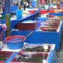 어시장횟집 이미지