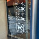 성정천사약국 | 천안 빵집 뚜쥬루과자점 성정점에서 드디어 거북이빵을 먹어보다
