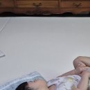 따사룸 | [육아용품] 따사룸 폴더매트 200×240 내돈내산 후기