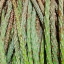 유순농장 이미지