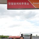 코끼리 주유소 이미지