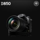 꿈을 향한 힘찬 태권도 | [양산물금우정태권도]금빛호랑이품새선수단 정기훈련