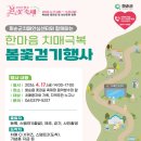 화순 하니움문화스포츠센터 공설운동장 | 🌸 4월 화순, 이 주말 안 가면 진짜 후회해요