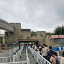 백호환경 | 중국 주재원 일상) 가족과 함께 다녀온 충칭 동물원(팬더, 곰, 백호 등등)