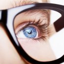 나무 휘트니스 이미지