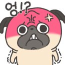 헬로 마이펫 이미지