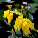 연산동고분군 이미지