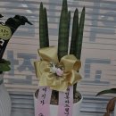 강한수학교습소 이미지