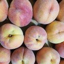 금장농장 이미지