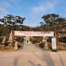 대한불교조계종봉녕사 세주묘엄박물관 | 한국불교 최초의 비구니 율사 묘엄스님 평전 출간- 묘엄 평전 봉정식