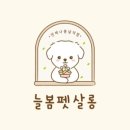 늘봄펫살롱 이미지