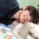 깡미네 이미지