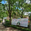 평촌초등학교 앞 이미지