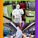 주식회사 제주밧데리 | 제주 단체여행 완전 정복! 관광버스 대절 꿀팁부터 비용 절약 비법까지✨
