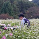 다다예술학교 이미지