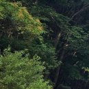 힐링주유소 화장실 이미지