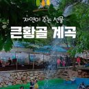 소나무가든민박 이미지