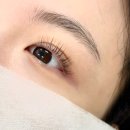 [하남 미사] 다니엘 뷰티 속눈썹펌 대만족 찐후기