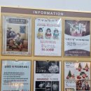 아이엠50 | 하남 미사 50일 사진 아이엠베베스튜디오 후기