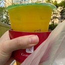 왕벚꽃식당 | 2025.04.19-04.27 주간일기 (루이비통 키리가미, 심플러스 두부과자, 미사 왕벚꽃)