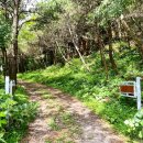 거린사슴전망대 이미지