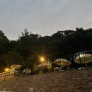 그레이스카페 이미지