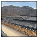[범어사 템플스테이] 금정산 자락에서 찾은 1박 2일의 온전한 쉼