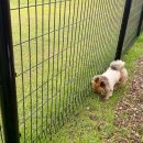 초정힐링캠핑장 이미지