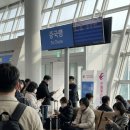 청도카서비스 | 중국 위해 골프 vs 청도 골프, 비행시간·비용·골프장 퀄리티 비교 분석. 어디가 더 나을까?