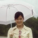 달랏(DA LAT) 이미지