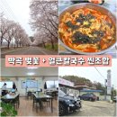 얼큰 칼국수 | 대구 달성군 박곡 벚꽃맛집 팔공산 얼큰이 서재박곡직영점 얼큰칼국수 후기