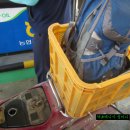 용문농협 주유소 이미지