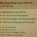 My dog threw up in the car. 이미지