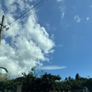1038 | [제주숙소] 장전1038 후기 장전2반 제주도 숙소 추천