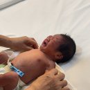 (주)베베포레스트산후조리원용인수지 | [솔직후기]용인 수지 베베포레스트 산후조리원(가격 마사지 신생아실 시설 + 실망한 이유까지)