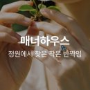 매너핸드