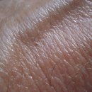 옴속옴속 이미지